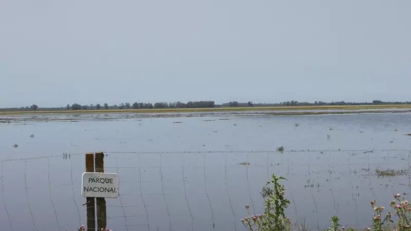 El Parque Nacional de Doñana aumenta el agua de su humedal, pero este continúa en riesgo de secarse.