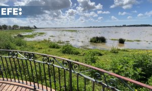 Almonte (Huelva) alerta sobre la colmatación de la marisma de Doñana próxima a El Rocío
