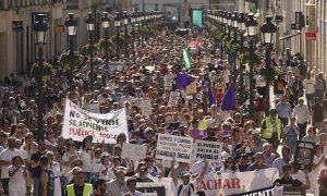 Imagen de archivo de la manifestación de otoño pasado en Málaga a favor de la sanidad pública.