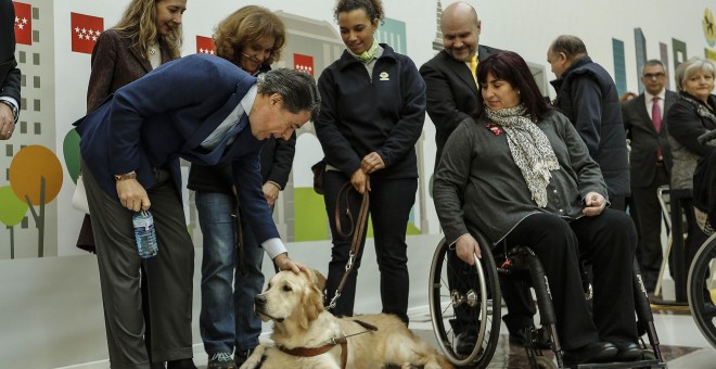 El presidente de la Comunidad de Madrid,Ignacio González, con la vicepresidenta de la ONCE, y algunos perros guía de la organización de ciegos. COMUNIDAD DE MADRID