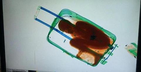 Imagen del pequeño Adou dentro de la maleta visto a través del escáner de la aduana. EFE