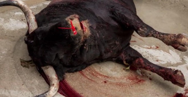 PACMA lanza un campaña en defensa de unos sanfermines sin corridas de toros / PUBLICO