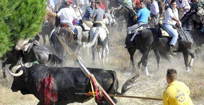 Imagen del Toro de la Vega del año pasado.