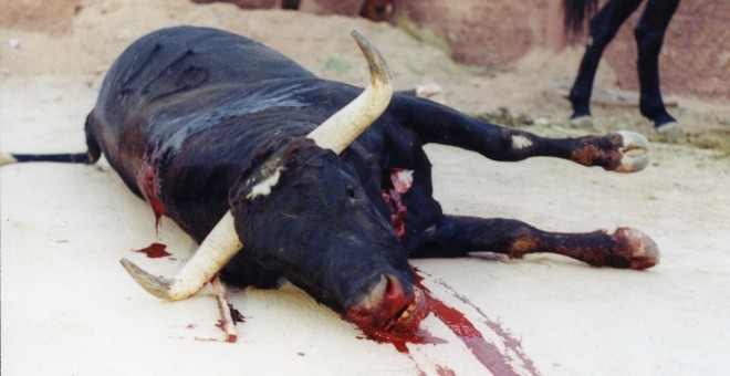 Foto de un toro torturado / Animanaturalis