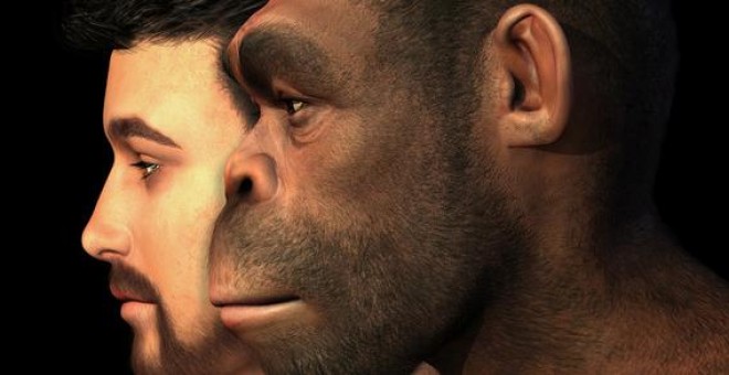 Representación de Homo erectus junto a un Homo sapiens. / Fotolia
