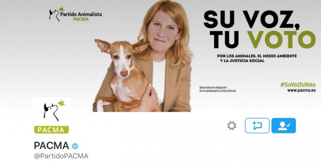 Perfil de Twitter del Partido Animalista.