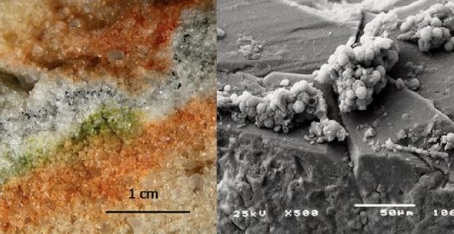 Sección de una roca colonizada por microorganismos criptoendolíticos y detalle al microscopio electrónico de un hongo Cryomyces en cristales de cuarzo. / S. Onofri et al.