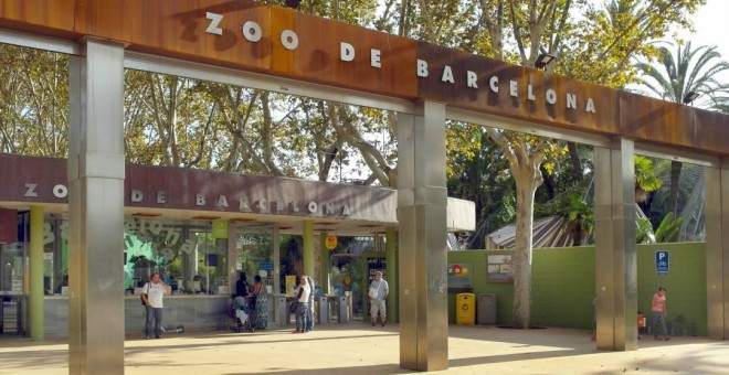 Zoo de Barcelona./BARCELONA.CAT