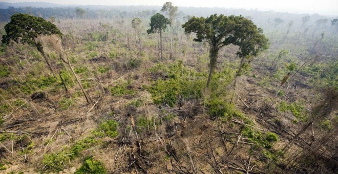 Vista aérea de una tala ilegal en el Bosque Nacional de Jamanxim , en el estado de Para, en la Amazonía brasileña. ANTONIO SCORZA (AFP)
