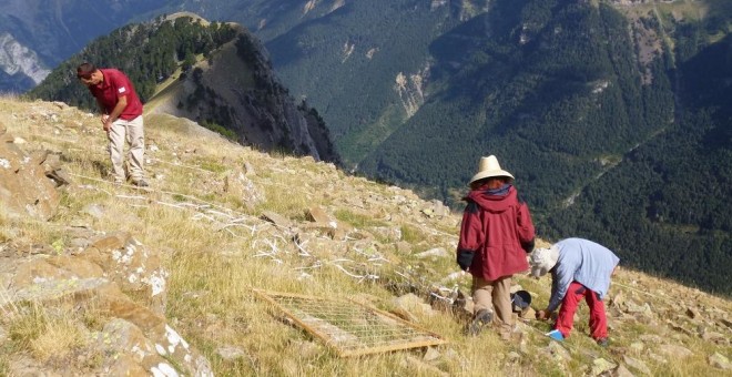 Técnicos del Gobierno de Aragón en una cumbre pirenaica dentro de los trabajos de toma de muestras del Proyecto Gloria. DIRECCIÓN GENERAL DE SOSTENIBILIDAD DEL GOBIERNO DE ARAGÓN