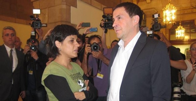 El líder abertzale, Arnaldo Otegi, junto a la diputada de la CUP Anna Gabriel.- EUROPA PRESS
