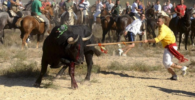 Espectaculo de El Toro de la Vega en Tordesillas. EFE