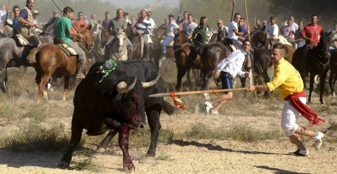 Espectaculo de El Toro de la Vega en Tordesillas. EFE