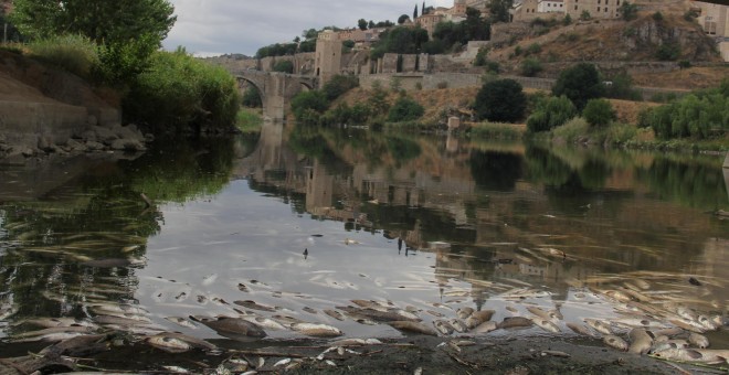 El Tajo presenta un aspecto deplorable a su paso por Toledo