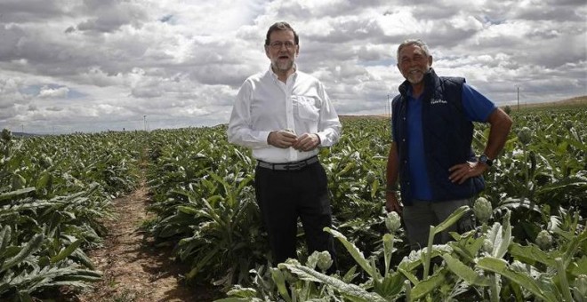 l presidente del Partido Popular y del Gobierno en funciones, Mariano Rajoy, durante la visita que ha realizado hoy a la finca de cultivo de alcachofas 'Castel Ruiz'. EFE/Jesús Diges