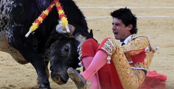 Pertama dalam 31 Tahun, Matador Spanyol Tewas Ditanduk Banteng  
