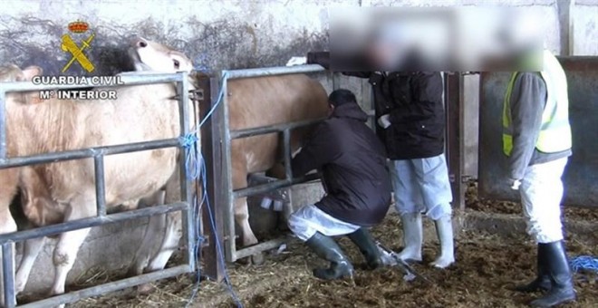 Imagen de la Guardia Civil de una de las granjas investigadas /EUROPA PRESS