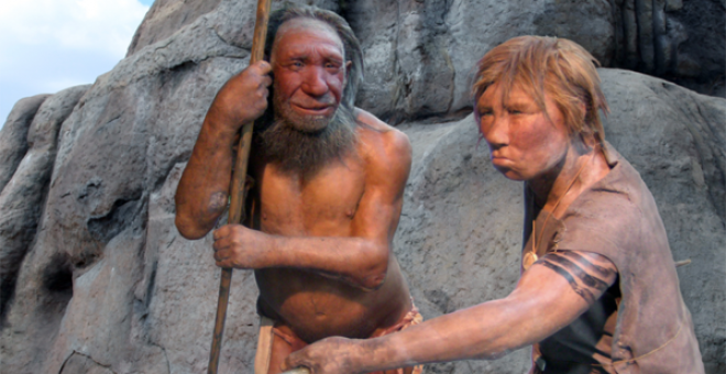 Se han encontrado mutaciones propias de los pelirrojos en el genoma de los neandertales, la especie anterior al humano moderno, que se extinguió hace unos 40.000 años y pobló zonas de Europa y Oriente Medio.Neandertal Museum