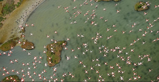 Una imagen del Parque Nacional de Doñana. - DIEGO LÓPEZ - WWF ESPAÑA