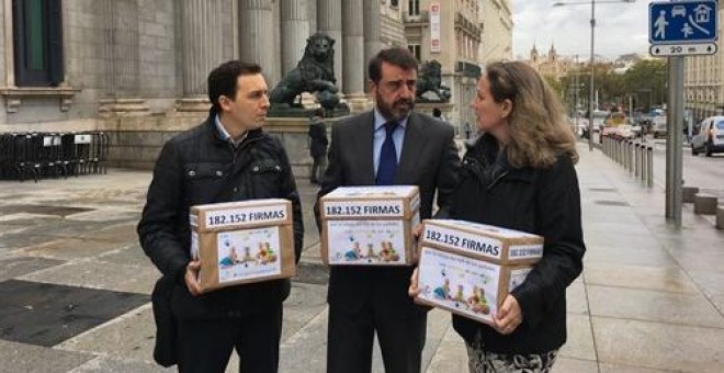 La petición ha recibido las adhesiones a través de la plataforma change.org con el lema 'Los pañales no son un lujo. ¡Rebajad su IVA ya!.