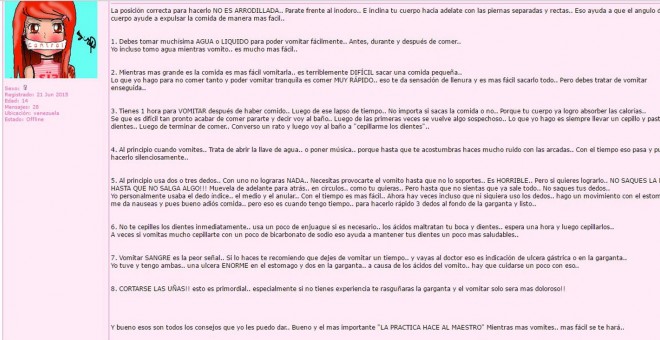 Un total de 6.042 seguidores aparecen registrados en ‘Ana y Mia’, donde intercambian diariamente consejos y pautas para continuar adelgazando a espaldas de su entorno.