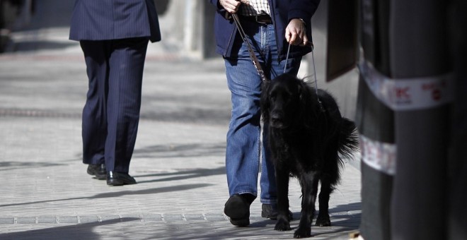 Un invidente con su perro guía. E.P.