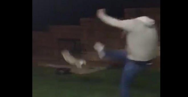 Captura del vídeo en el que se ve a un hombre propinando una patada a una gato.