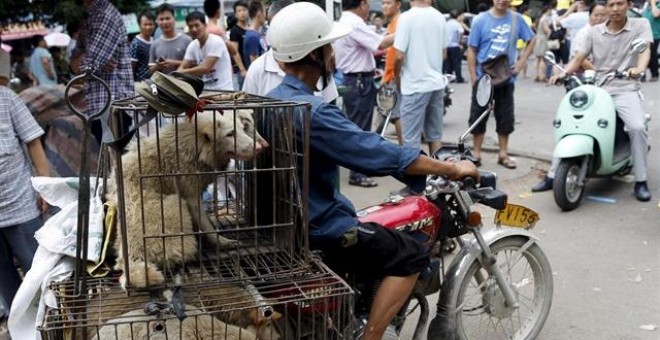 La norma también prohibe que los ciudadanos que se desplacen en vehículos de motor puedan llevar atados animales domésticos.KIM KYUNG HOON / REUTERS