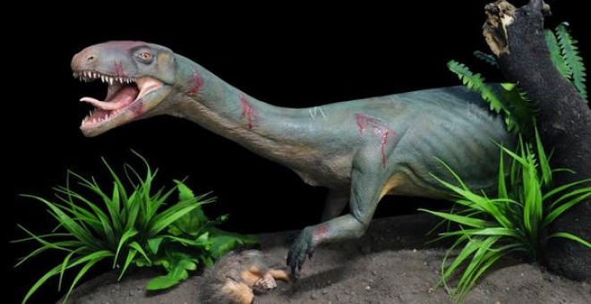 Modelo de la nueva especie Teleocrater rhadinus, un pariente cercano de los dinosaurios con una presa de cinodonte juvenil, un pariente lejano de los mamíferos./ Museo Argentino de Ciencias Naturales