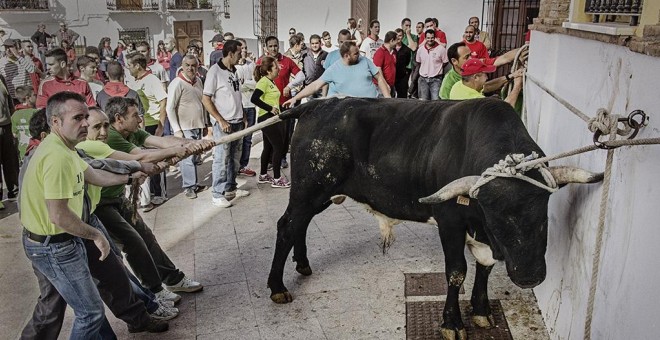 Una imagen del documental Santa Fiesta, durante la fiesta de los Toros de San Marcos, en Ohanes. JIM MCLAREN