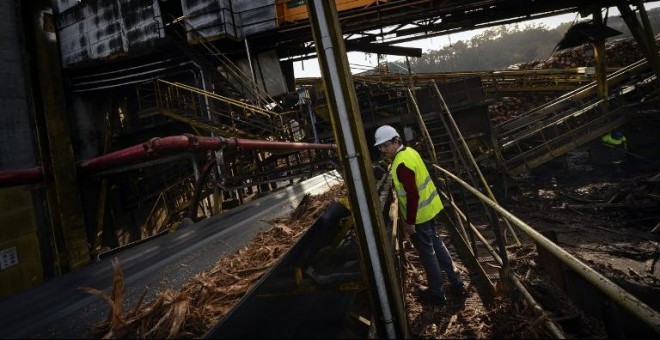 Un trabajador en la planta de biomasa de Ence en Pontevedra. AFP/Miguel Riopa