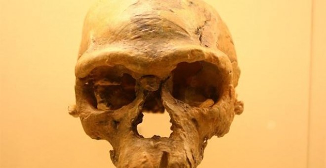 Científicos descubren los fósiles de los primeros 'Homo sapiens' en Marruecos. WIKIMEDIA/DAVID H. KOCH