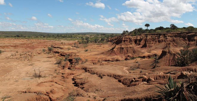 La sequía ha dejado inutilizados numerosos pastos en el valle del Rift (Pablo L. Orosa)