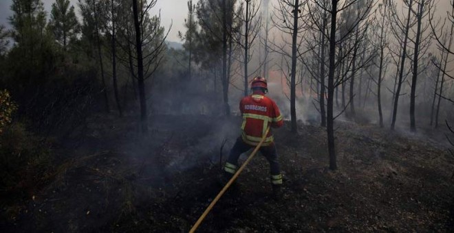 Un bomberoi intenta apagar las llamas en Carvalho, cerca de Gois. | RAFAEL MARCHANTE (EFE)