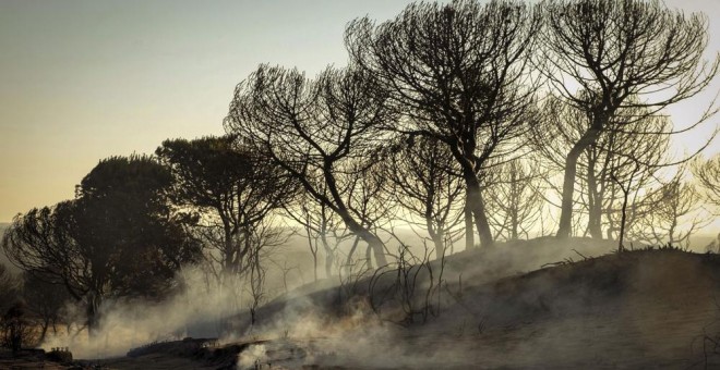 El paraje de la Cuesta de Maneli tras el incendio originado el sábado en Mazagon. EFE