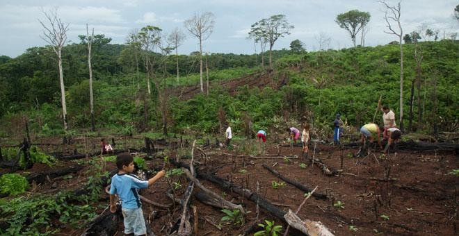 Una familia cultiva arroz cerca de Monkey Point, una comunidad afro-kriol de la costa sudeste de Nicaragua /Tom Laffay