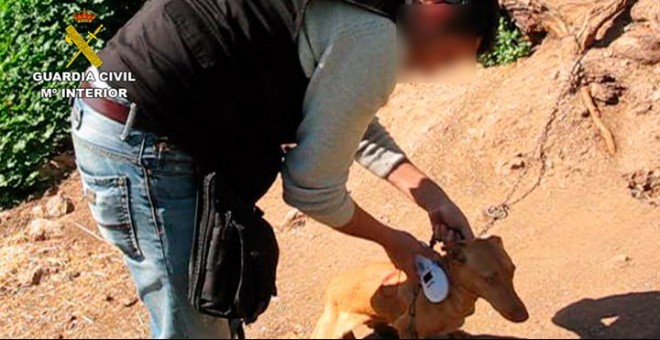 Un agente del Seprona rescata a un perro. GUARDIA CIVIL