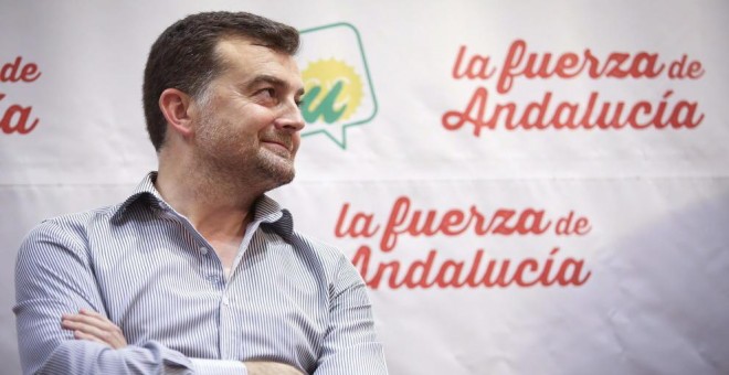 El coordinador regional de IU, Antonio Maíllo. EFE