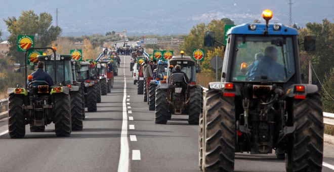 Las pérdidas que el veto ruso está causando en las explotaciones familiares de fruta de hueso han hecho que los agricultores se movilicen para reclamar soluciones.