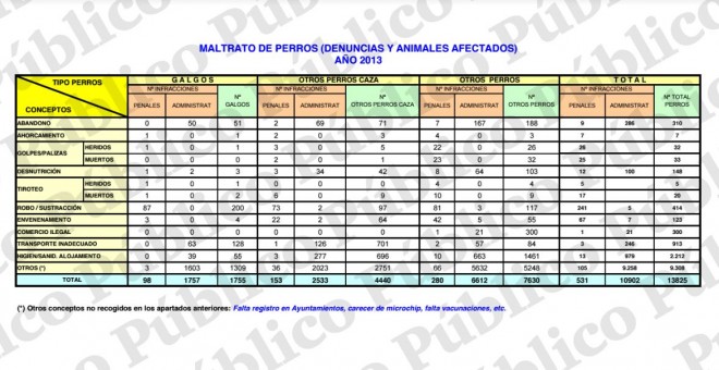 Estadísticas del Seprona del año 2013. PÚBLICO