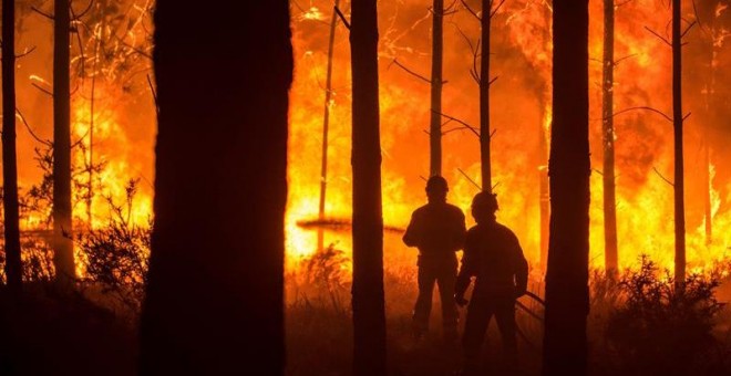 Un hombre lucha contra las llamas en un incendio forestal declarado en Vieira de Leiria en Marinha Grande (Portugal). / EFE