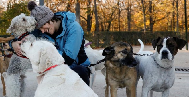 Los animales de compañía pasarán a ser considerados como 'seres vivos dotados de sensibilidad'. REUTERS