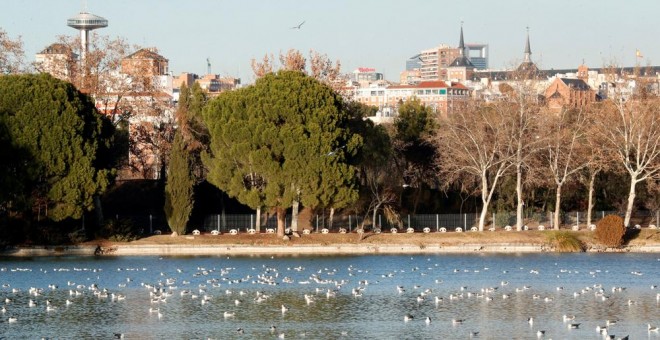 El Ayuntamiento de Madrid comienza las obras para vaciar el lago de la Casa de Campo. EFE