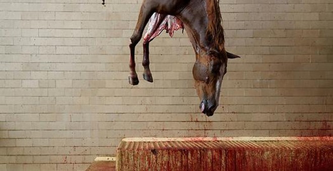 Una de las fotografías del reportaje Matadero, de Tras los Muros. AITOR GARMENDIA