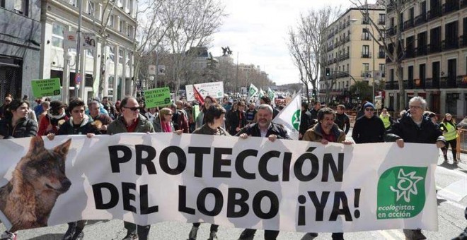 Manifestación en Madrid convocada por las organizaciones Lobo Marley, Equo, Ecologistas en Acción, WWF y la Alianza Europea para la Conservación del Lobo, con el apoyo de 200 entidades ecologistas y animalistas de España. | ZIPI (EFE)