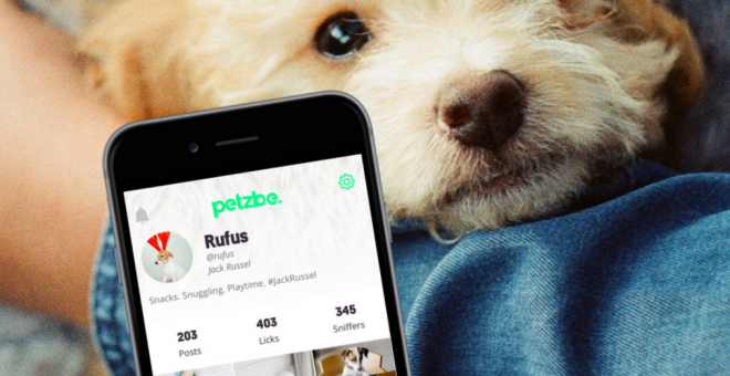 app-petzbe-mascotas