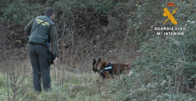 Agente de la Guardia Civil junto a un perro rastreando la zona . GUARDIA CIVIL