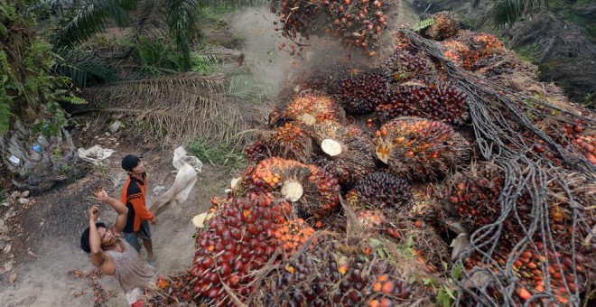 Trabajadores en los cultivos de palma en Indonesia. AFP