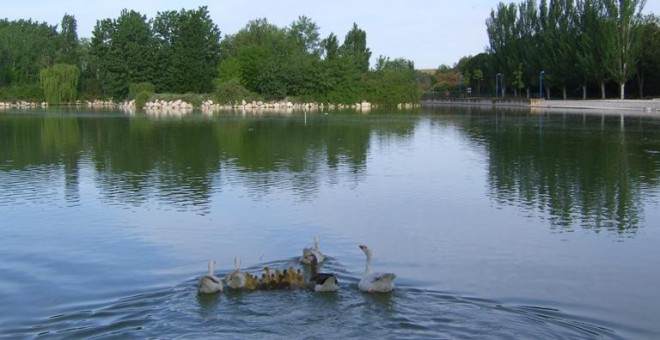 El parque de El Soto, en Móstoles