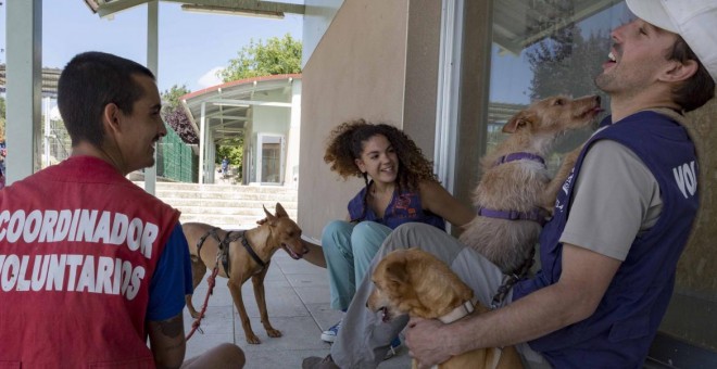 Centro Integral de Acogida de Animales (CIAAM) en Colmenar Viejo. COMUNIDAD DE MADRID